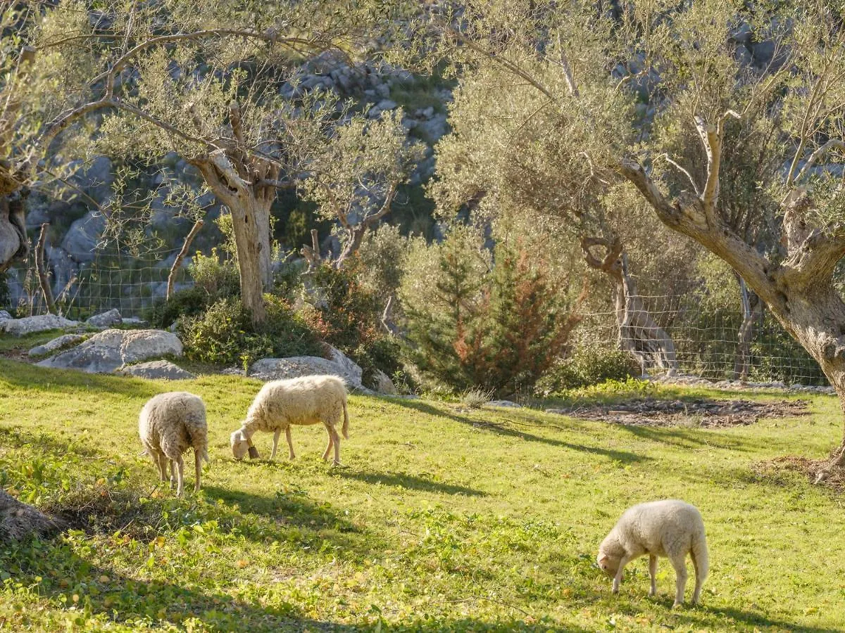 Agroturismo Muleta De Ca S'Hereu Port De Soller