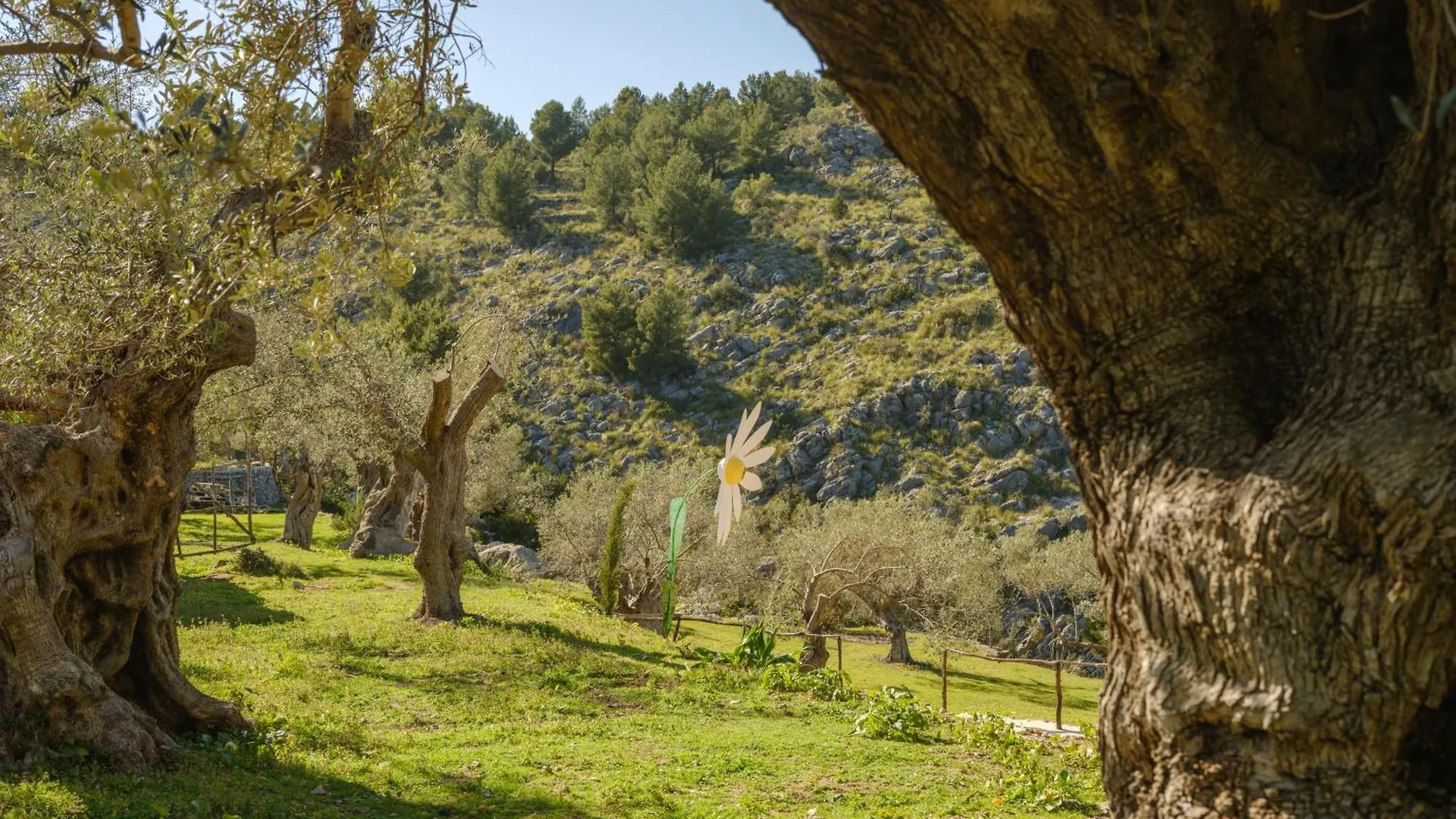 Country house Agroturismo Muleta De Ca S'Hereu Port De Soller